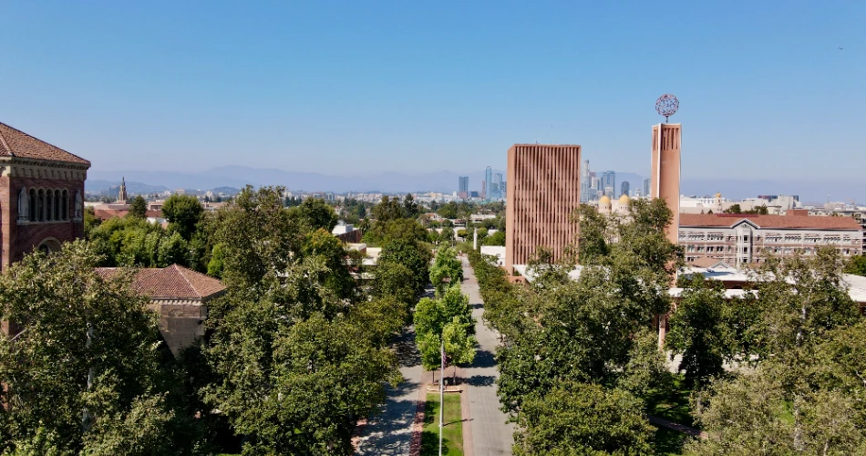 Top Architecture Schools in the U.S. for Aspiring Architects